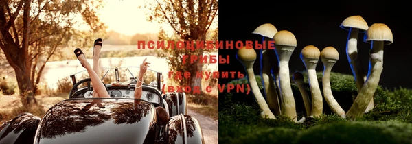 синтетический гашиш Пролетарск