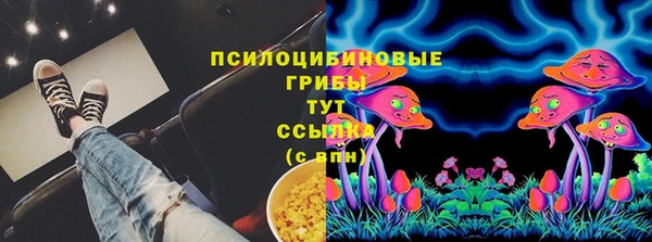 apvp Алексин